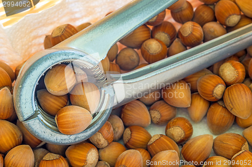 Image of hazelnuts