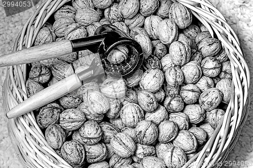 Image of walnut