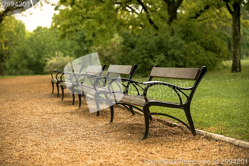 Image of Stylish bench in autumn park