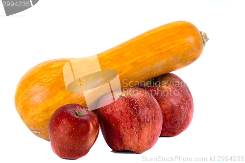 Image of Pumpkin and apples