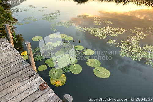 Image of Peaceful place at the pond