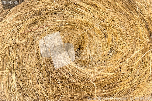 Image of Hay bails on the field