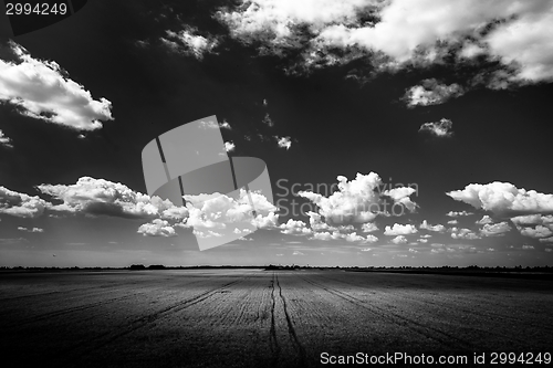 Image of Hay bails on the field