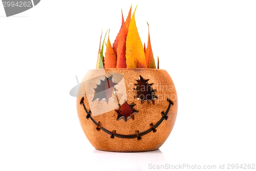Image of Halloween pumpkin at white background