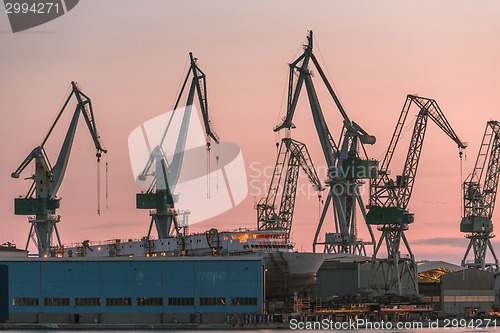 Image of Industrial cargo cranes in the dock