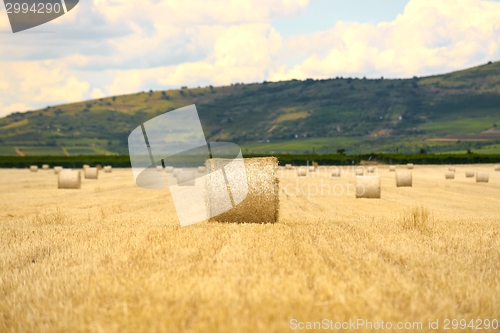 Image of Hay bails on the field