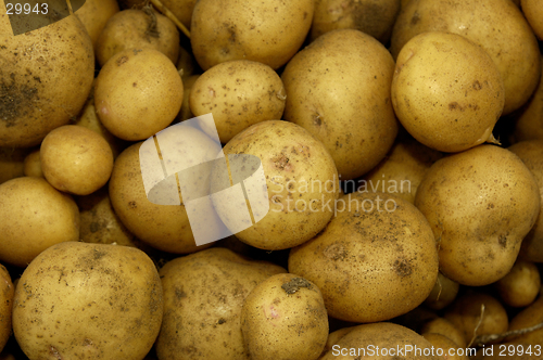 Image of New Potatoes