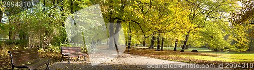 Image of Fall in public park