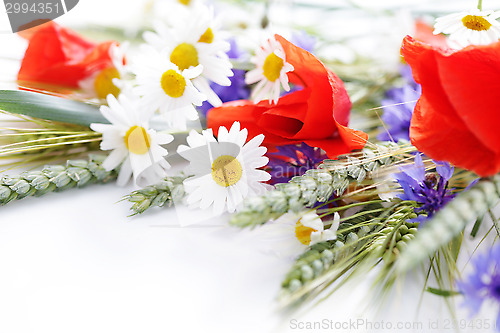 Image of field flowers