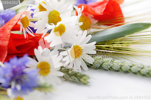 Image of field flowers