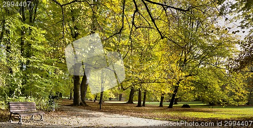 Image of Fall in public park