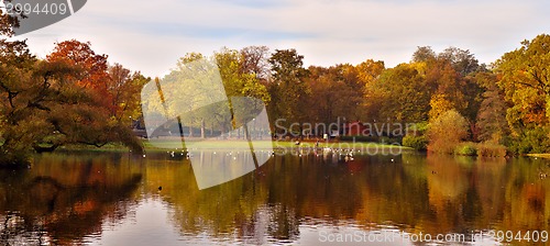 Image of autumnal pond in park