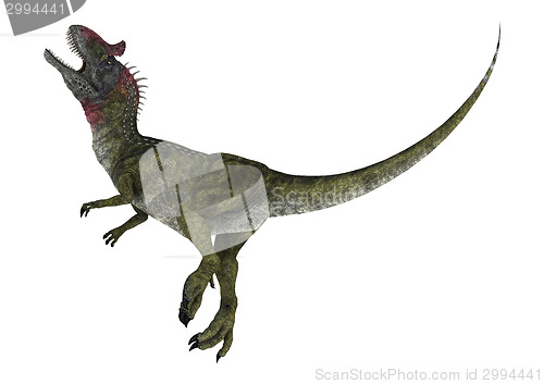 Image of Dinosaur Cryolophosaurus