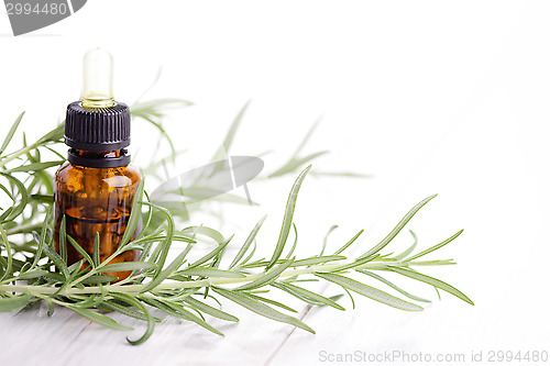 Image of rosemary essential oil