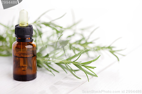 Image of rosemary essential oil