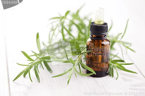 Image of rosemary essential oil