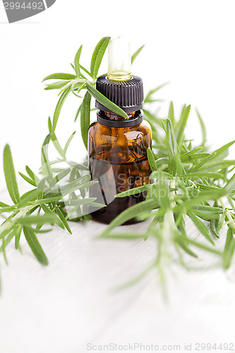 Image of rosemary essential oil