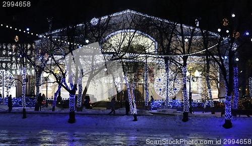 Image of The lights in winter park