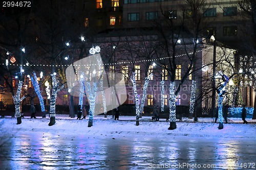 Image of The lights in winter park