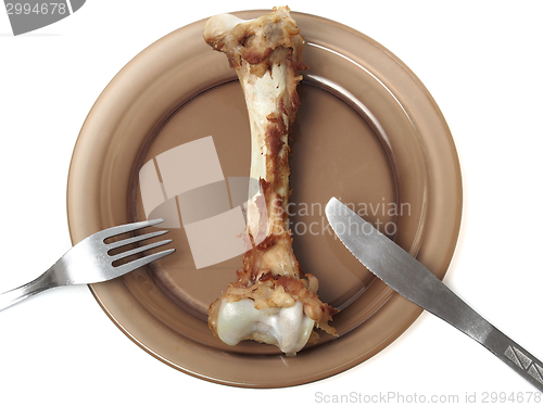 Image of Bone on a plate