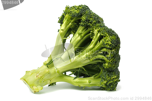 Image of Broccoli on white