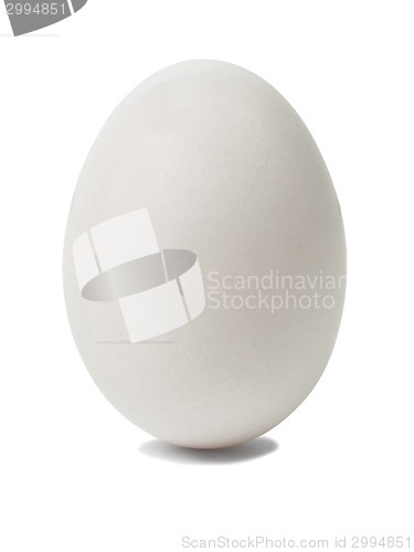 Image of White egg