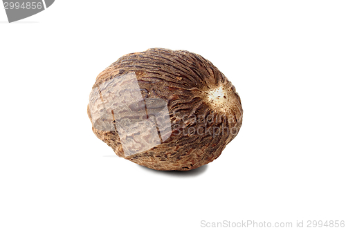 Image of Nutmeg on white