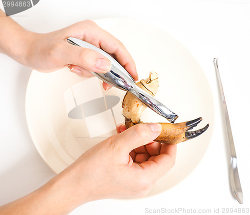 Image of Female person eating crab claw over plate