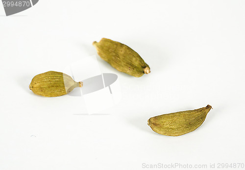 Image of Whole cardamom isolated on grey scale background