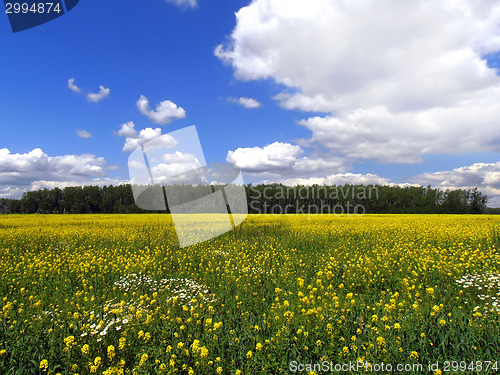 Image of Rural Landscape.