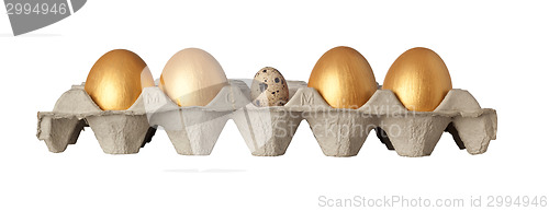 Image of Different kind of egg