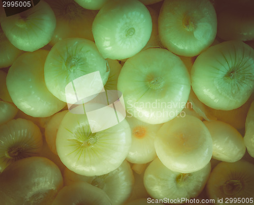 Image of Retro look Onions