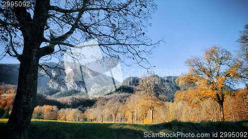 Image of autumn scenery