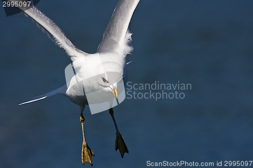Image of landing