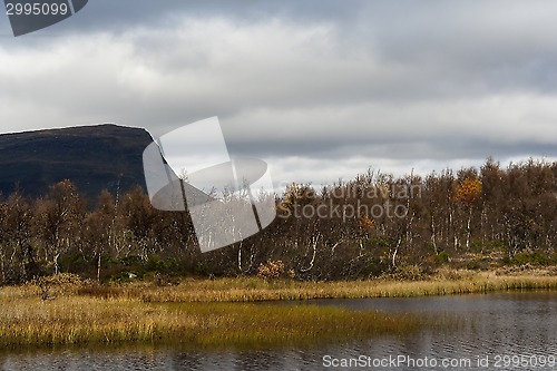 Image of fall in the mountains