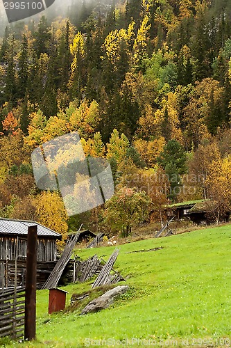 Image of fall in the mountains