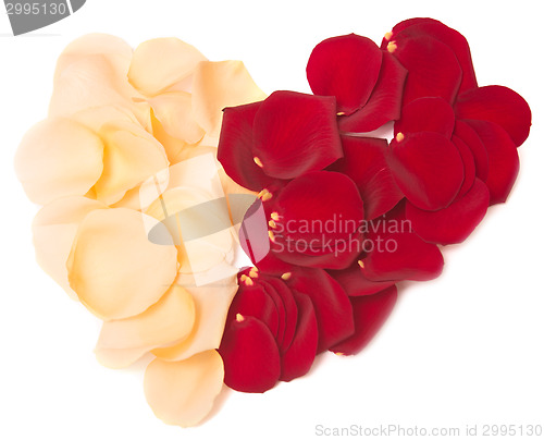 Image of rose petal heart