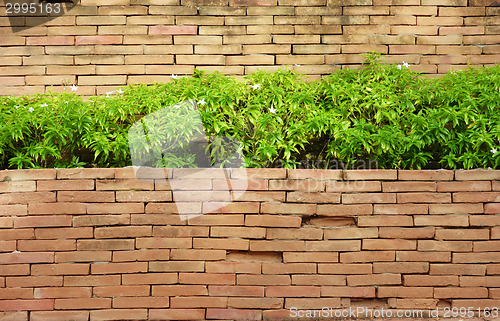 Image of brick wall