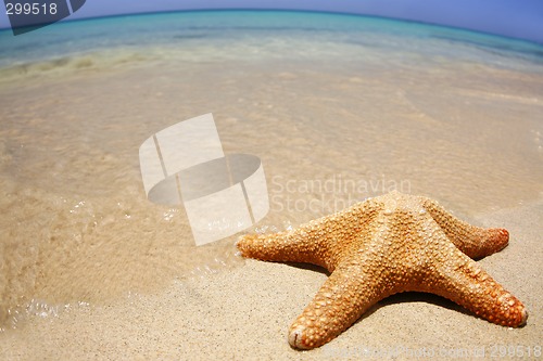 Image of Wideangle Beach