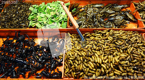 Image of fried insects