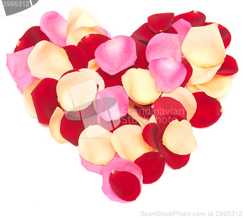 Image of rose heart