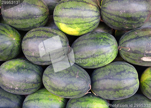 Image of watermelons