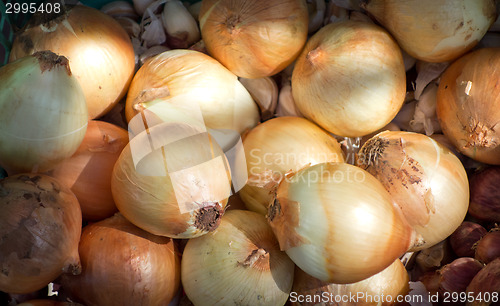 Image of onion