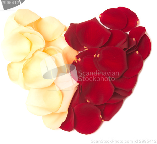 Image of petal heart