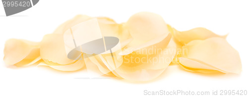 Image of rose petals 