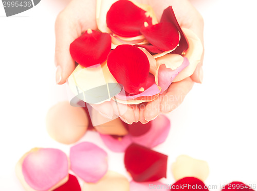 Image of hands with petals