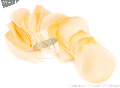 Image of peach petals