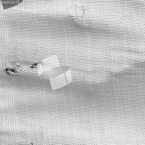 Image of plastic bag full of dry peat briquettes