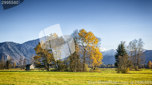 Image of autumn scenery