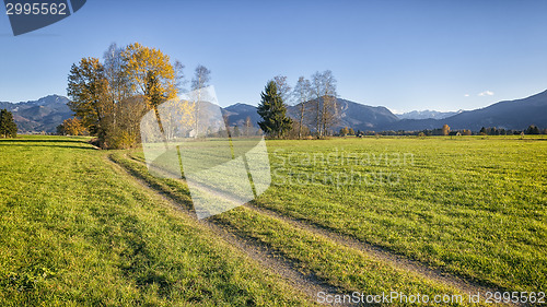 Image of autumn scenery